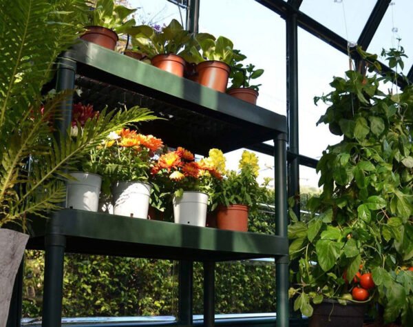 Rion 2 Tier Staging Greenhouse Bench in Green - Canopia By Palram - Image 4