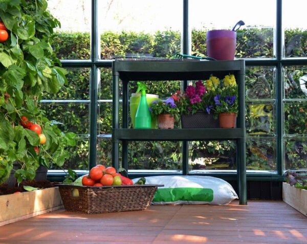Rion 2 Tier Staging Greenhouse Bench in Green - Canopia By Palram - Image 3