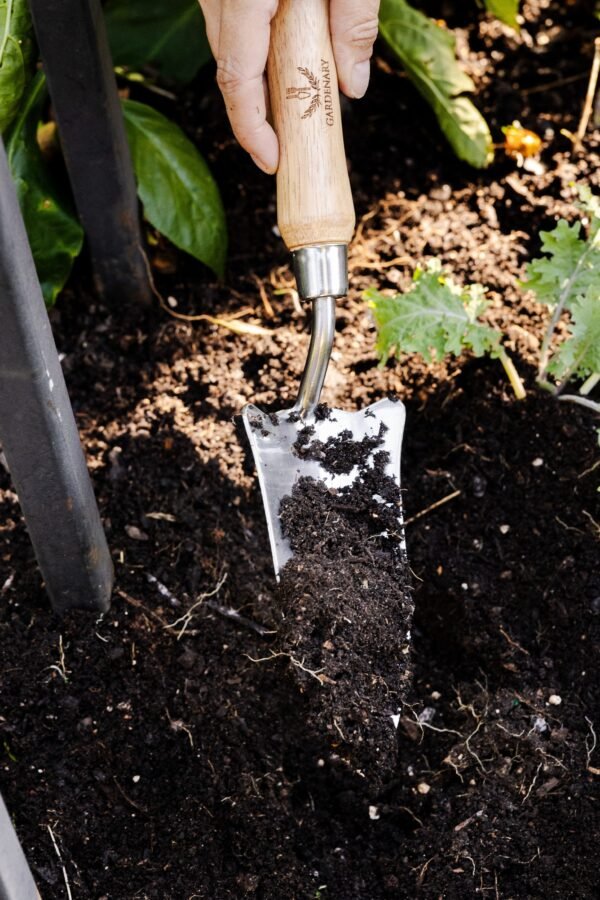Gardenary Transplant Trowel