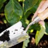 Gardenary Planting Trowel